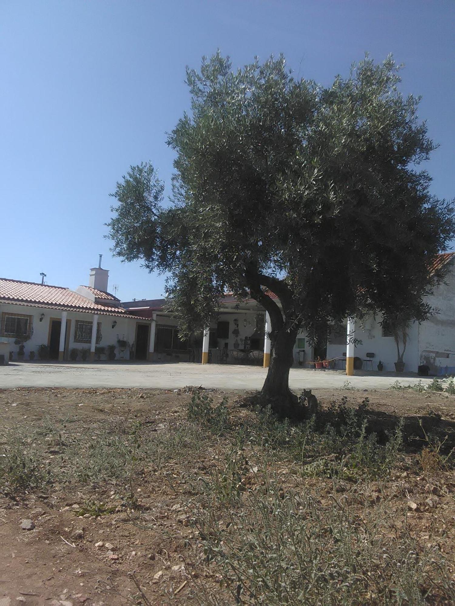Quintinha Dos Pombinhos Villa Montoito Buitenkant foto